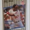 Joey Belle Fleer Update 1989