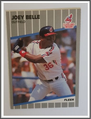 Joey Belle Fleer Update 1989