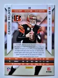 Carson Palmer Panini 2010 EPIX #19 Back