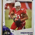 Anquan Boldin #2