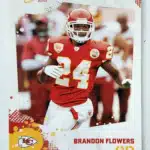 Brandon Flowers #141